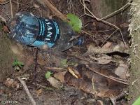 Good guard critter for your water bottle.